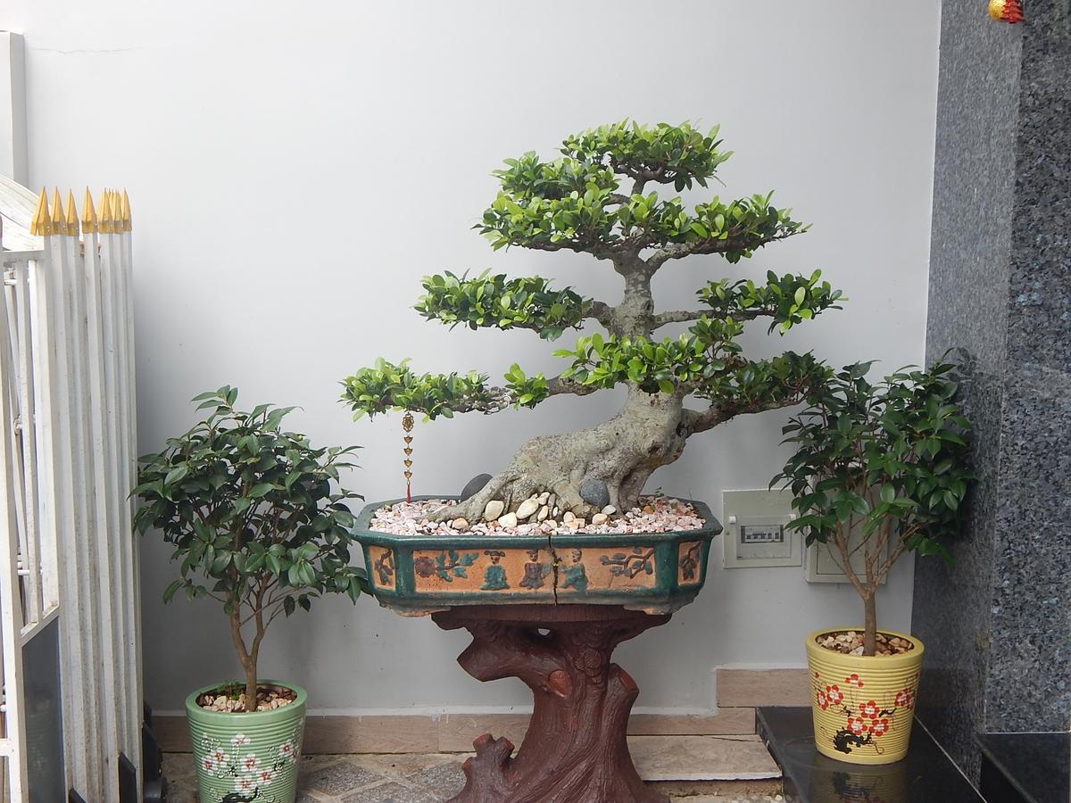 Dalat View Homestay 외부 사진